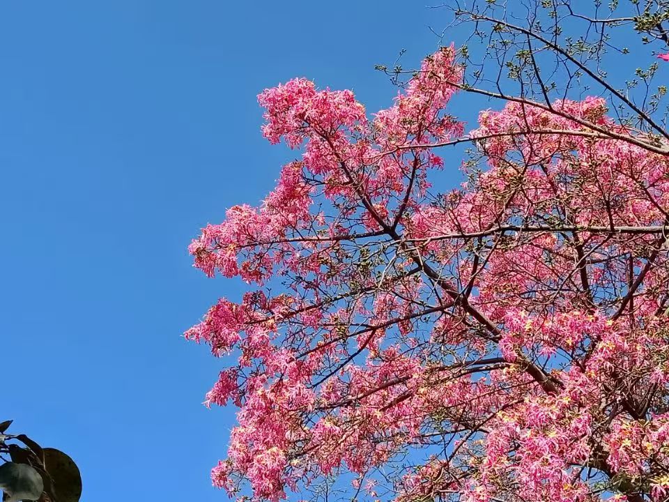 广东-广州-华软2